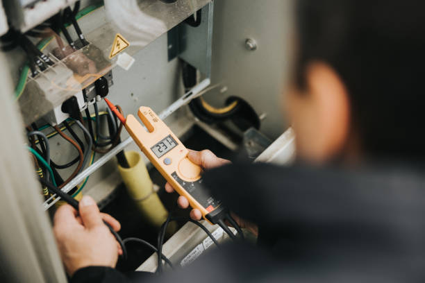 Best Local Electrician Companies  in Deltana, AK