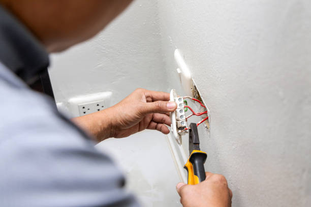 Best Electrical Outlet Repair  in Deltana, AK